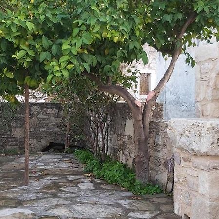 Small Traditional House In Asfendiou Kos Agios Dimitrios  Exteriör bild