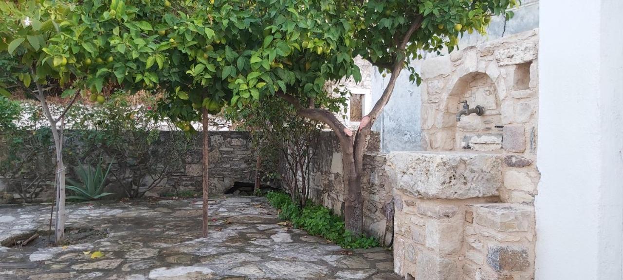 Small Traditional House In Asfendiou Kos Agios Dimitrios  Exteriör bild