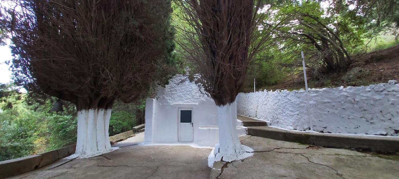 Small Traditional House In Asfendiou Kos Agios Dimitrios  Exteriör bild